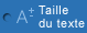 Grossir le texte